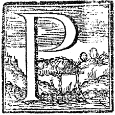 P P
