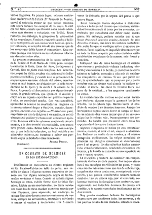 Gedeón Lincecum, Un combate de hormigas en los Estados-Unidos, 1875